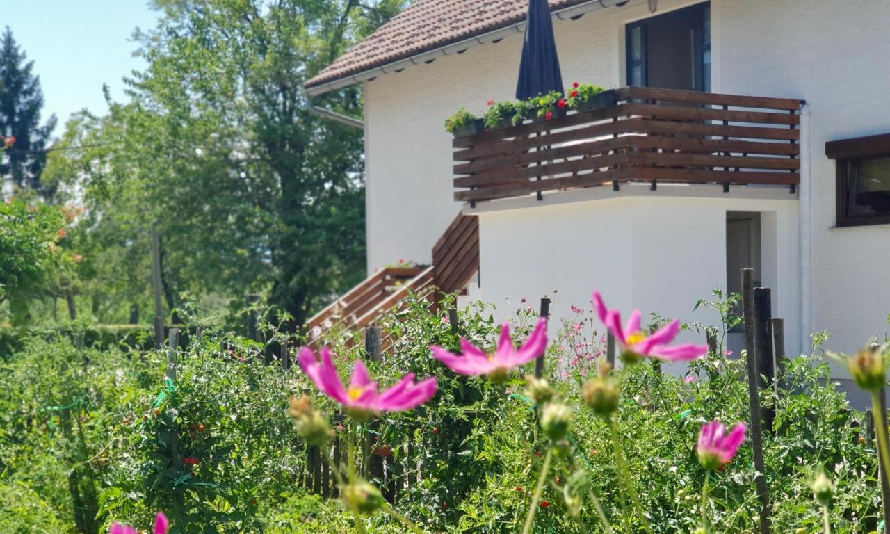Apartment Murva Drežnik Grad Exterior foto