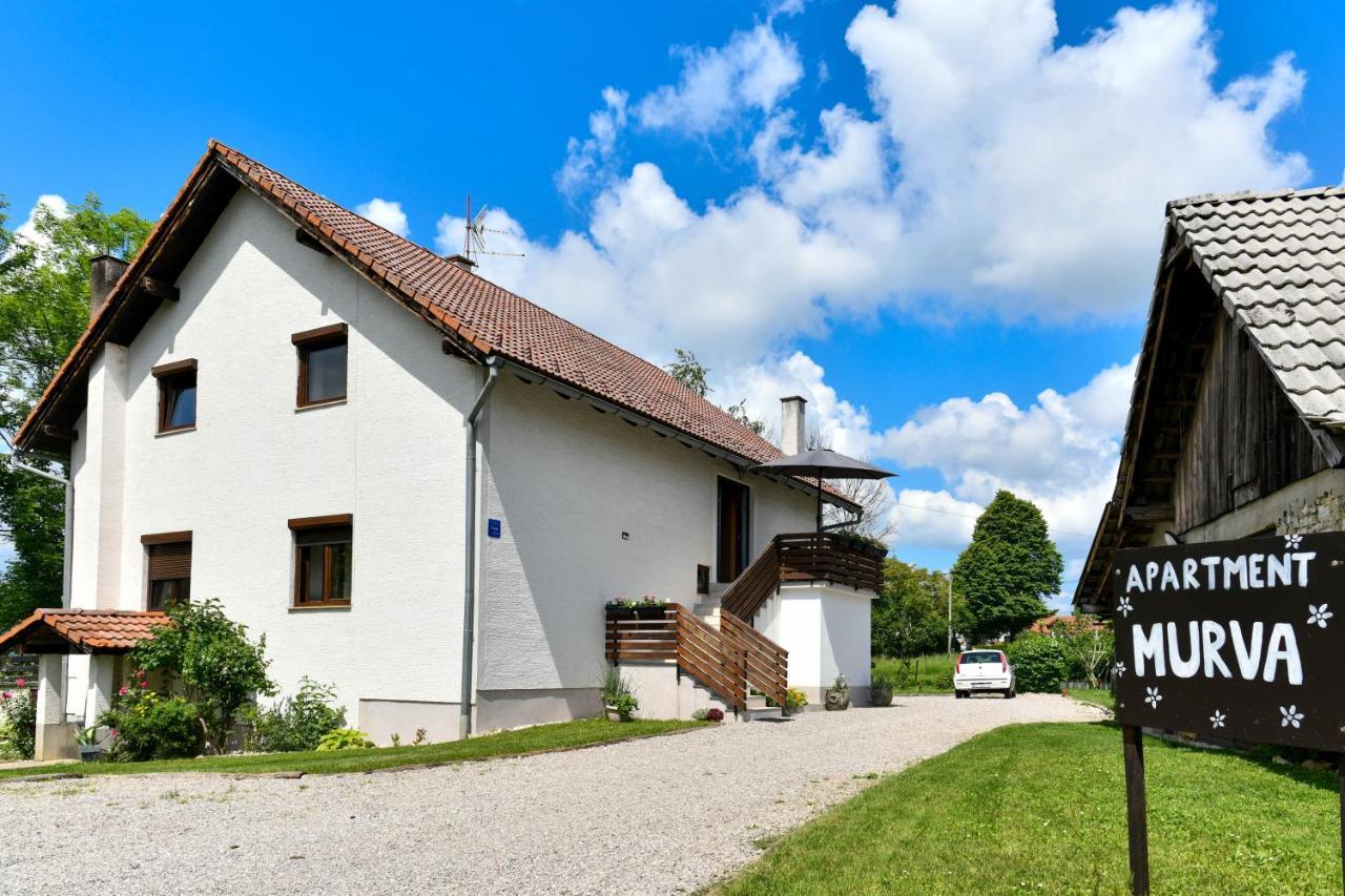 Apartment Murva Drežnik Grad Exterior foto