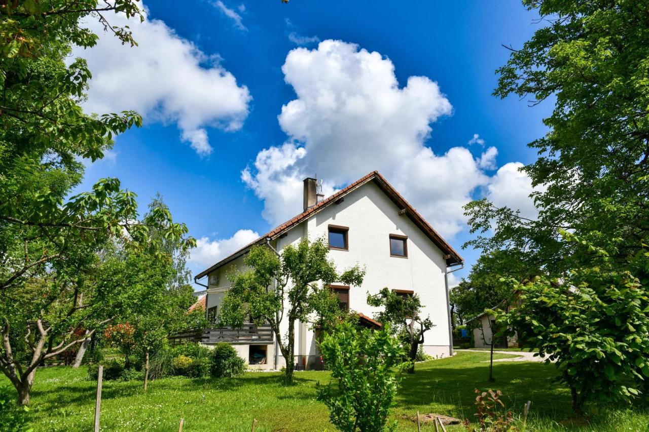 Apartment Murva Drežnik Grad Exterior foto